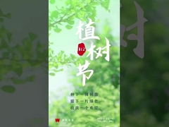 rolos transportadores de óxido de alumínio